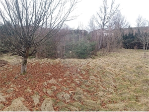 terrain à la vente -   88400  GERARDMER, surface 867 m2 vente terrain - UBI476966240